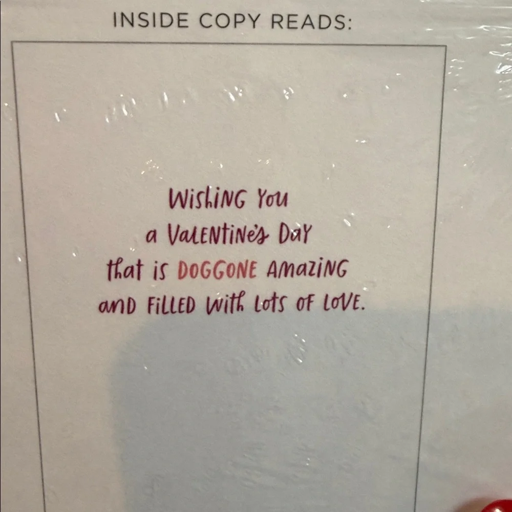 Valentine's Day Cards Set of 24
